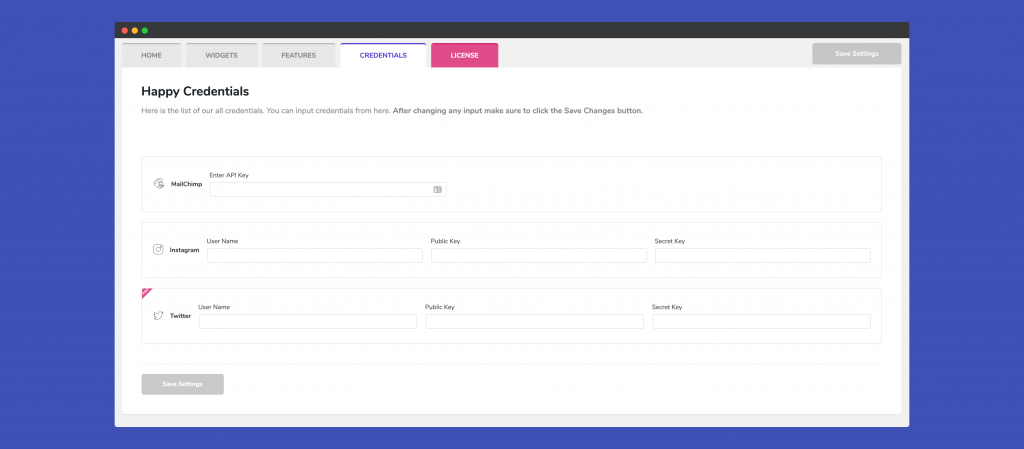 MailChimp Form 1 MailChimp API Key 1