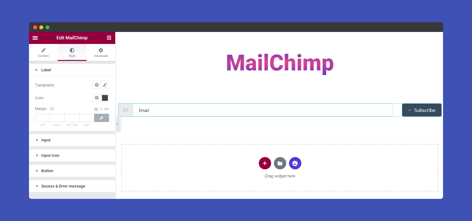 MailChimp Form 10 Style Label