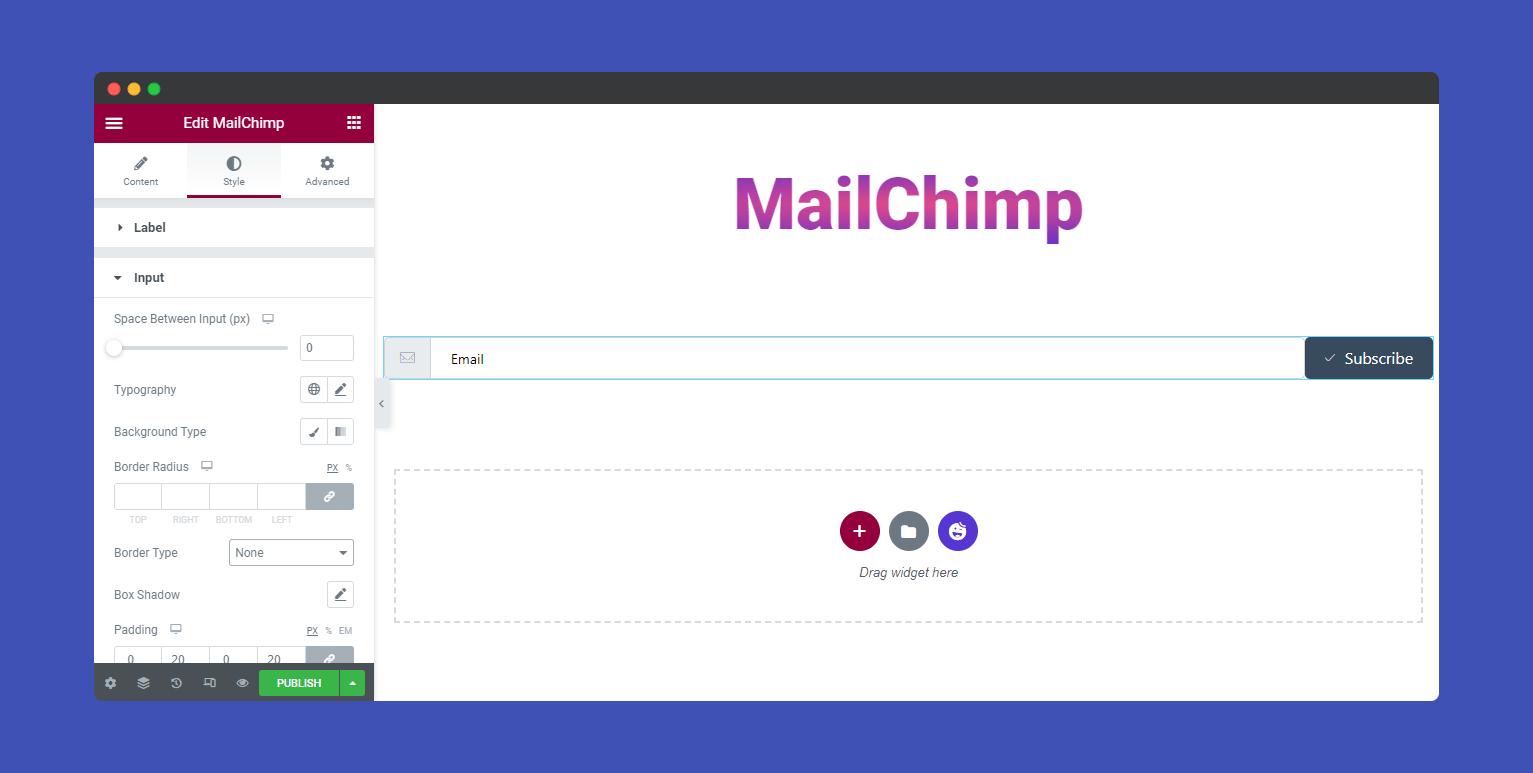 MailChimp Form 11 Style MailChimp Input