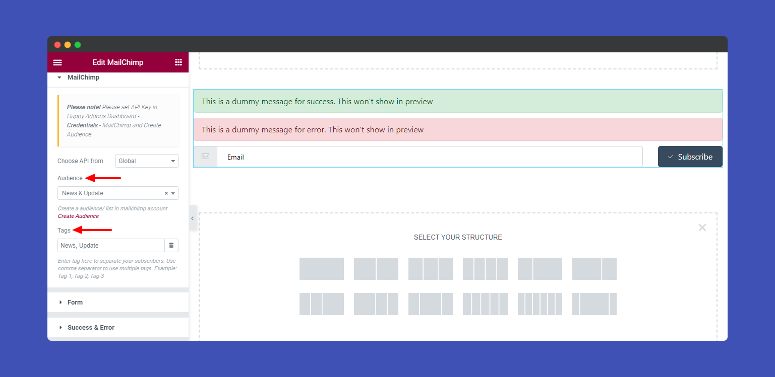 MailChimp Form 5 Select Audience & Tag