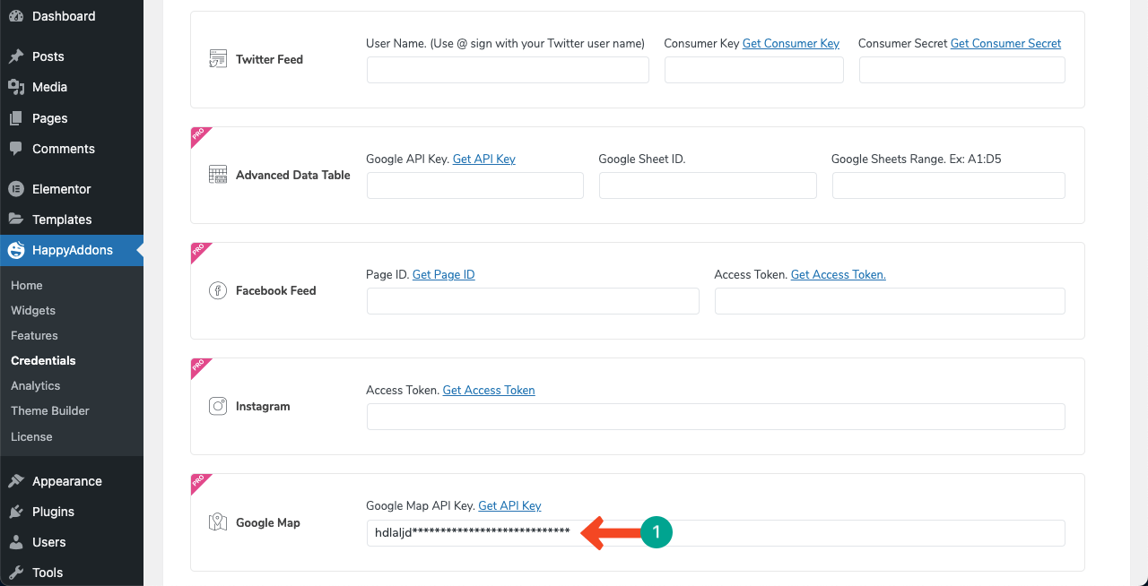 How to Improve Local SEO with Advanced Google Maps 7 Copy-paste the Google Map's API key